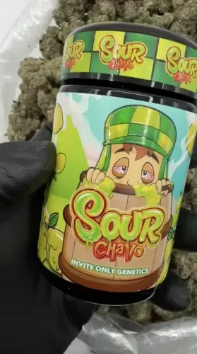 SOUR CHAVO