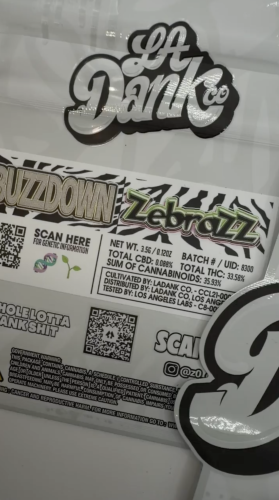 BUZZDOWN ZEEBRAZ