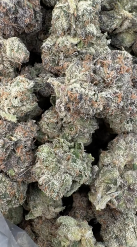 CANDY GAS