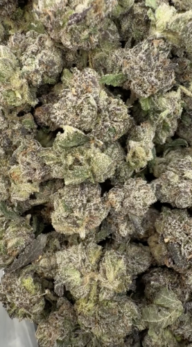 RETRO PINKY’S (MEDS)